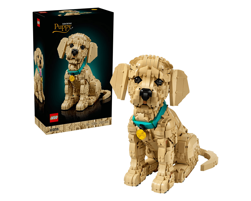 LEGO Icons - Szczeniak Golden Retriever #11384