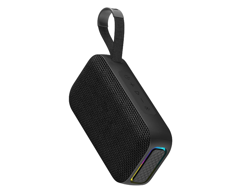 Głośnik Silver Monkey NoiseGo 10W