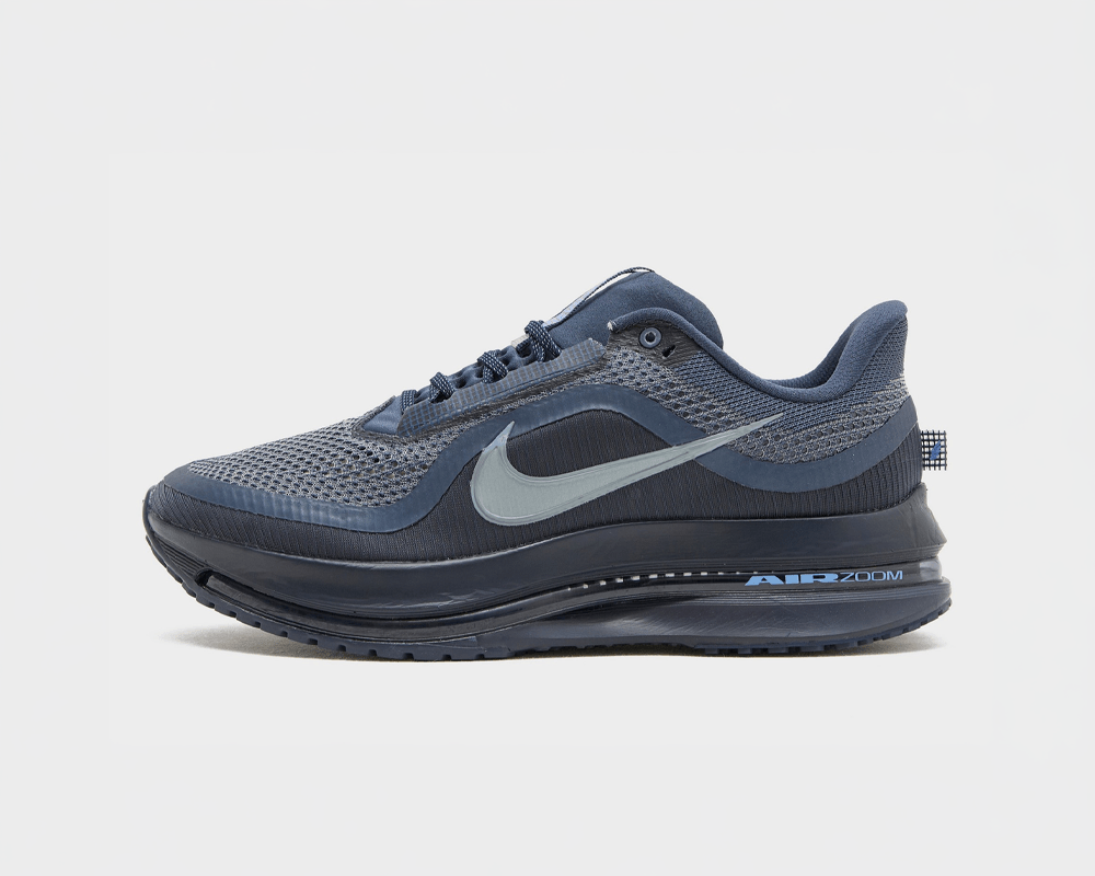 Buty męskie Nike Pegasus Premium